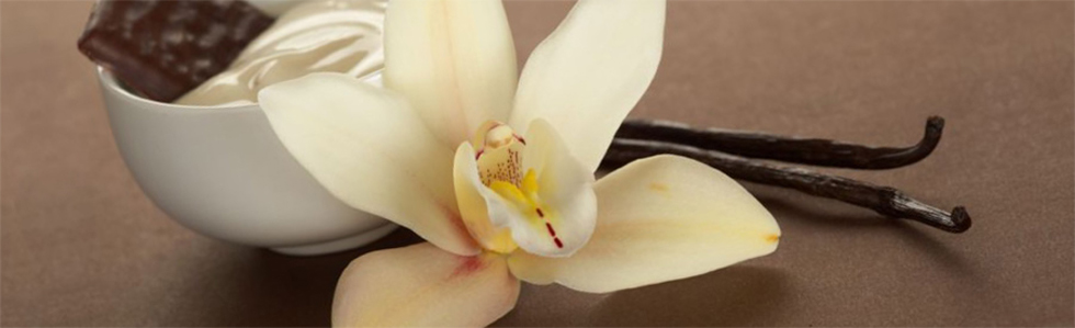 white petal flower